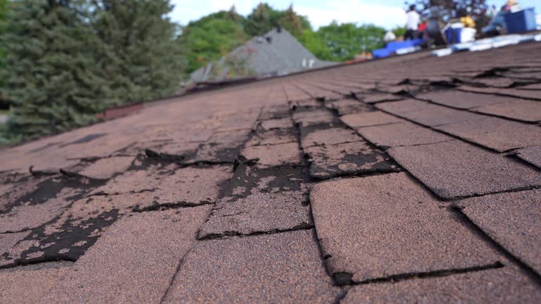  San Rafael, CA Roofing Service Pros