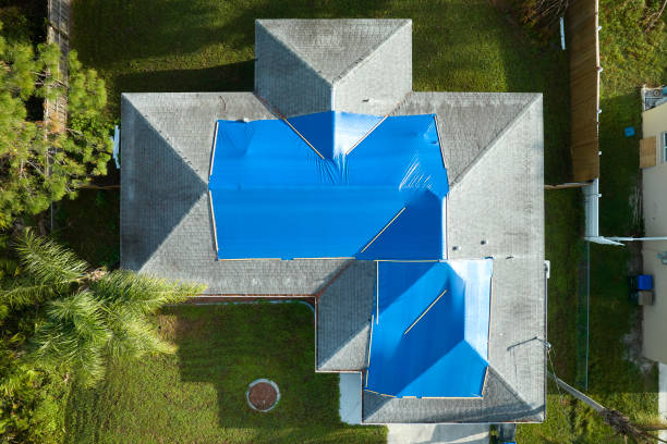 Best Roof Coating and Sealing  in San Rafael, CA