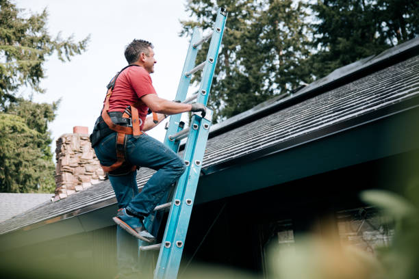 Best Sheet Metal Roofing  in San Rafael, CA