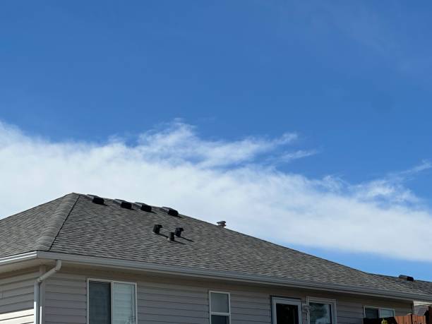 Best Roof Leak Repair  in San Rafael, CA