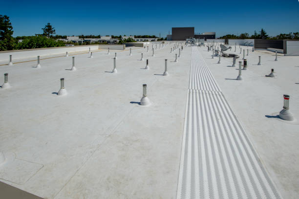 Best Storm Damage Roof Repair  in San Rafael, CA